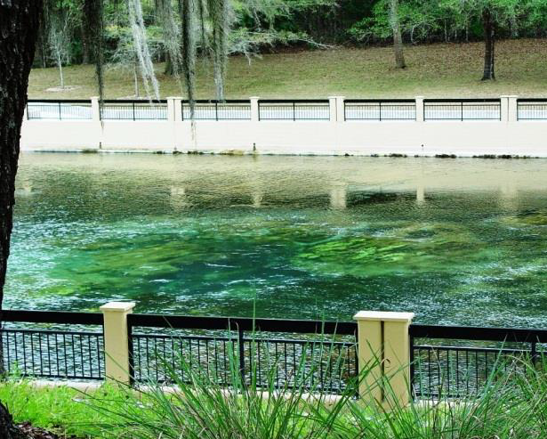 Salt Springs